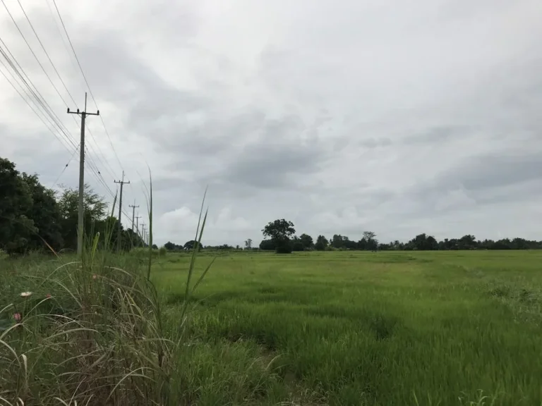 ขายที่ดินสุโขทัย ติดถนนใหญ่ 4 เลน สุโขทัย - ตาก จำนวน 50 ไร่