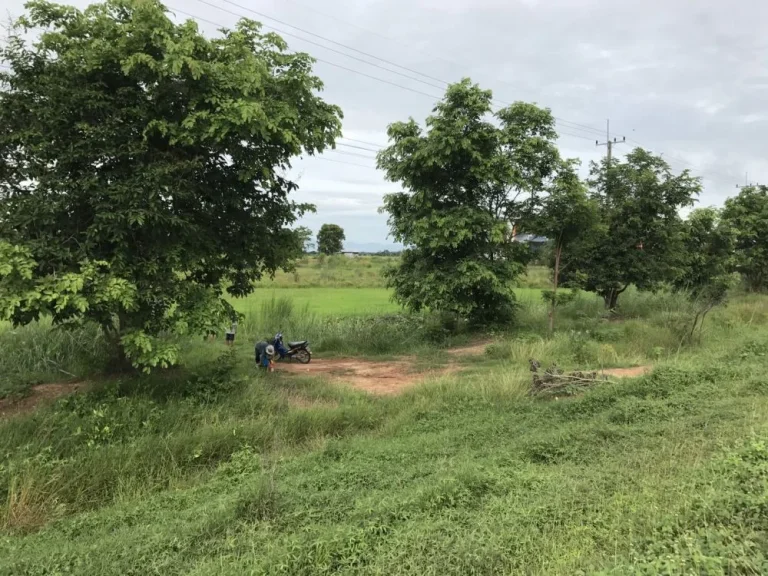 ขายที่ดินสุโขทัย ติดถนนใหญ่ 4 เลน สุโขทัย - ตาก จำนวน 50 ไร่