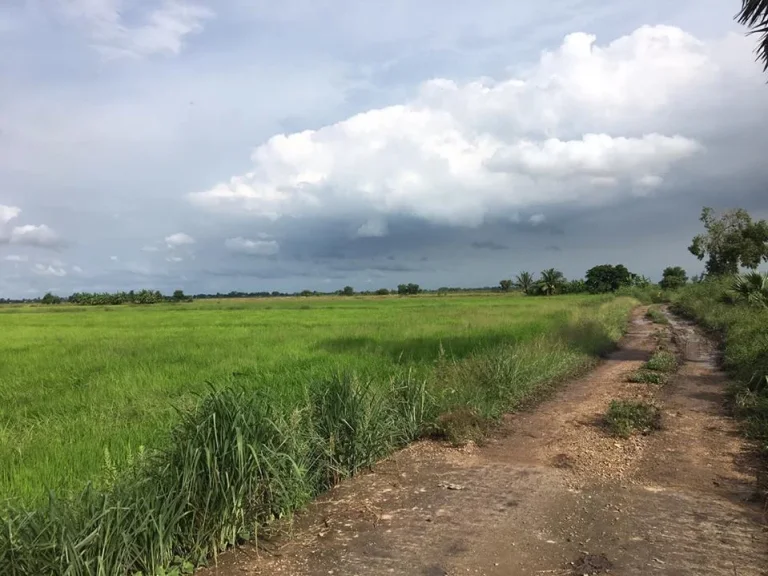 ขายที่ดินติดถนนติดคลองราคาถูก