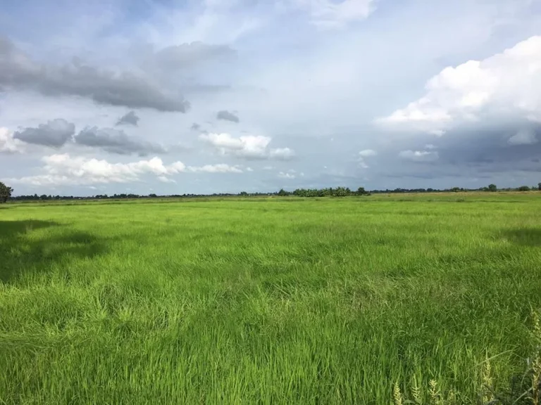 ขายที่ดินติดถนนติดคลองราคาถูก