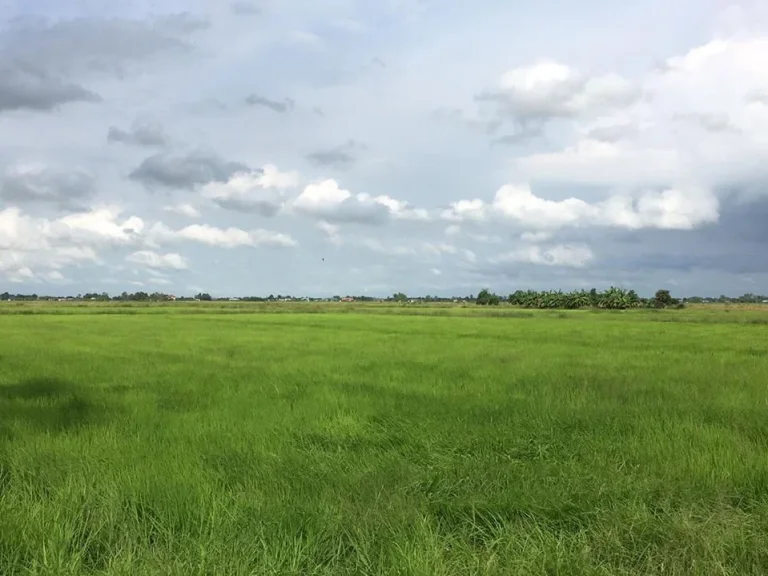 ขายที่ดินติดถนนติดคลองราคาถูก