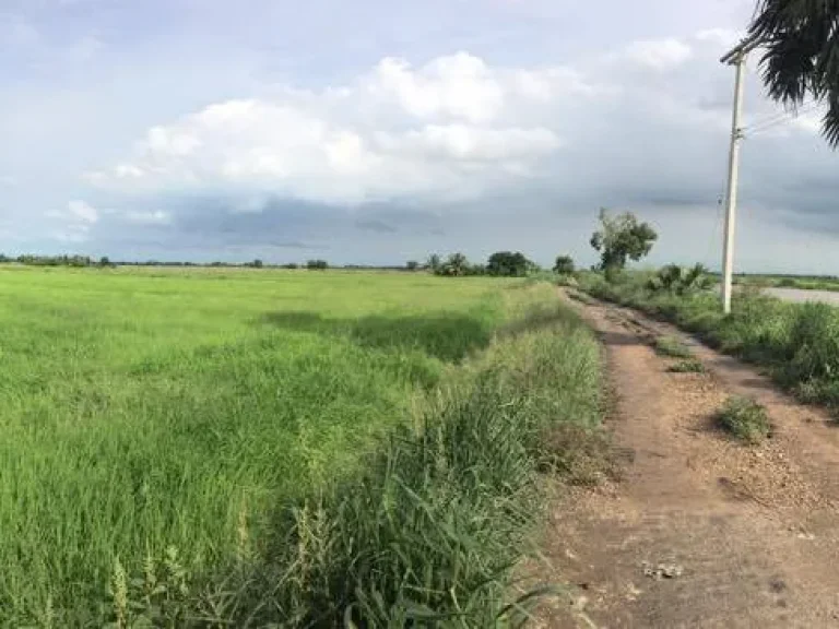 ขายที่ดินติดถนนติดคลองราคาถูก