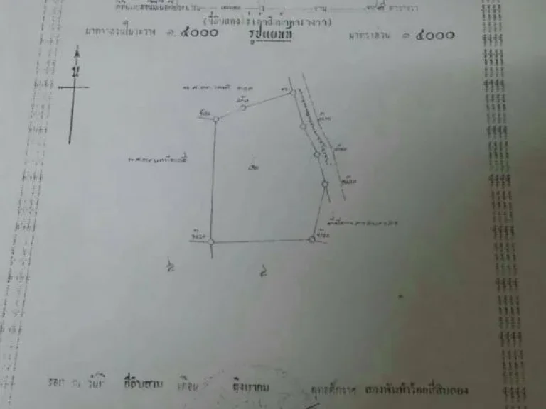 ขายที่ดิน จำนวน 54 ไร่ อำหนองฉาง จังหวัดอุทัยธานี