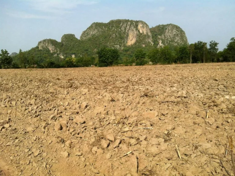 ขายที่ดิน จำนวน 54 ไร่ อำหนองฉาง จังหวัดอุทัยธานี