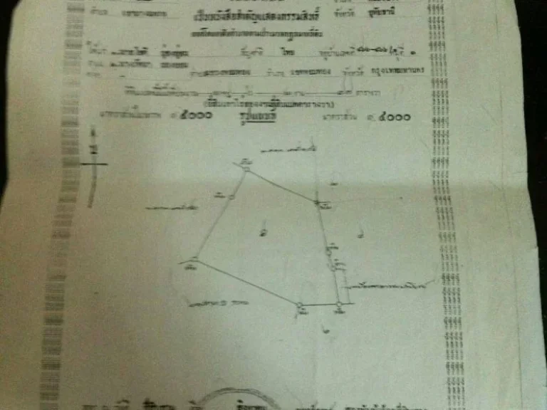 ขายที่ดิน จำนวน 54 ไร่ อำหนองฉาง จังหวัดอุทัยธานี