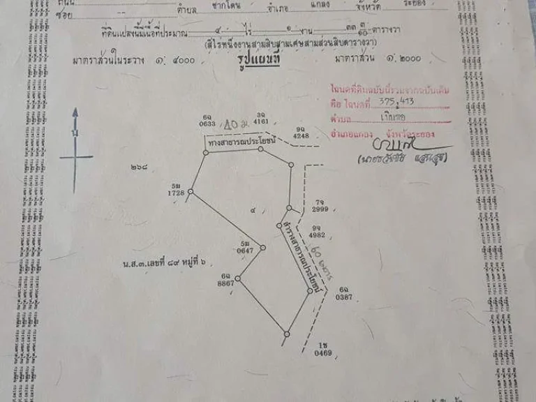 ขายสวนผลไม้ผสม ใกล้วัดจำรุง ส้มตำจำรุง ตกร่ำ อแกลง จระยอง