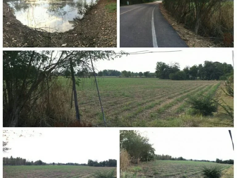 ขายที่ดิน 36 ไร่ ติดถนนราดยาง อศรีนคร จสุโขทัย