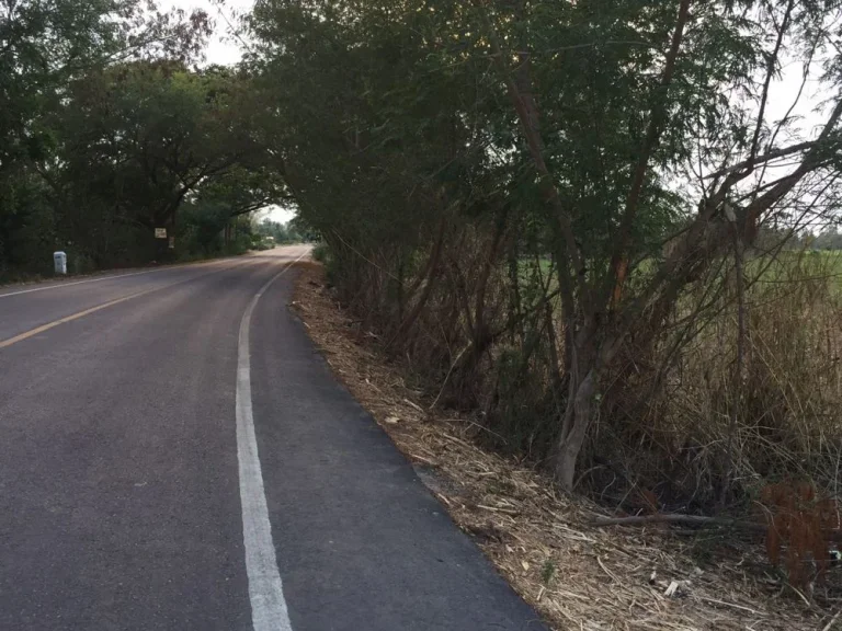 ขายที่ดิน 36 ไร่ ติดถนนราดยาง อศรีนคร จสุโขทัย