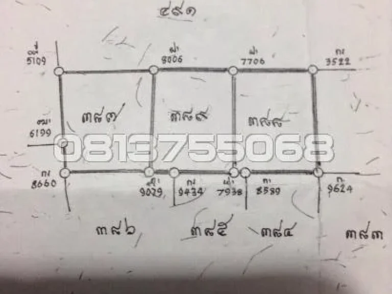 ที่ดินเปล่าสวย ย่านพุทธมณฑล สาย 3 ใกล้เซ็นทรัลพลาซ่า ศาลายา