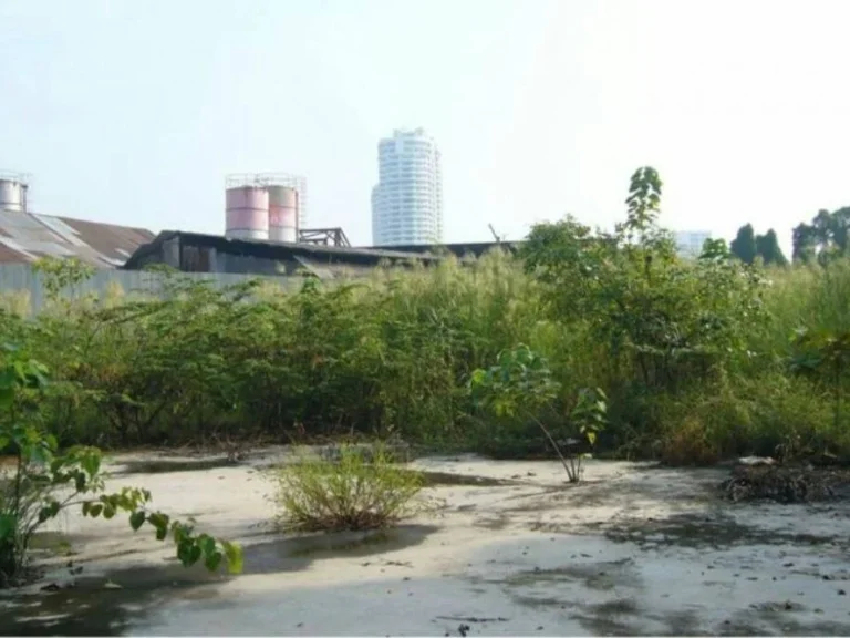 Sale Land on Ratburana Rd ขายที่ดินบนถนนราษฎร์บูรณะ