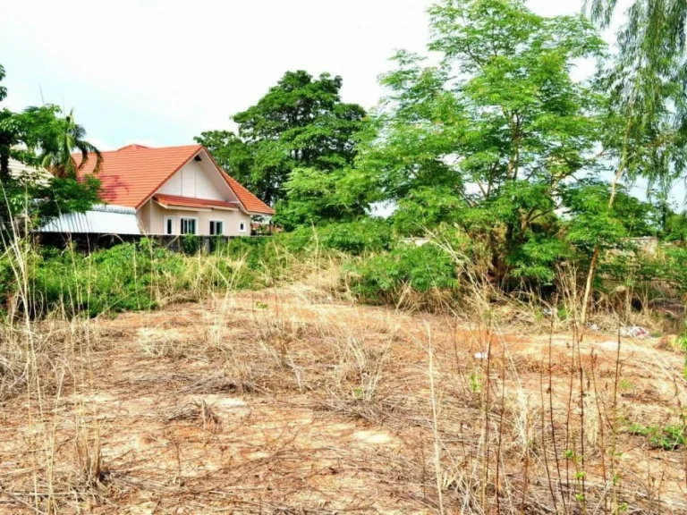 ขายที่ดิน เนื้อที่ 200 ตรว อำเภอเมือง จังหวัดพิษณุโลก