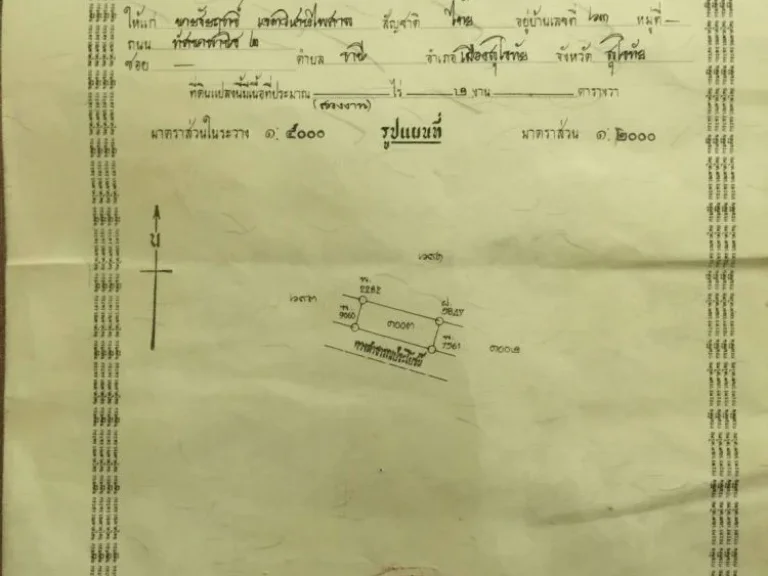 ขายที่ดิน เนื้อที่ 200 ตรว อำเภอเมือง จังหวัดพิษณุโลก