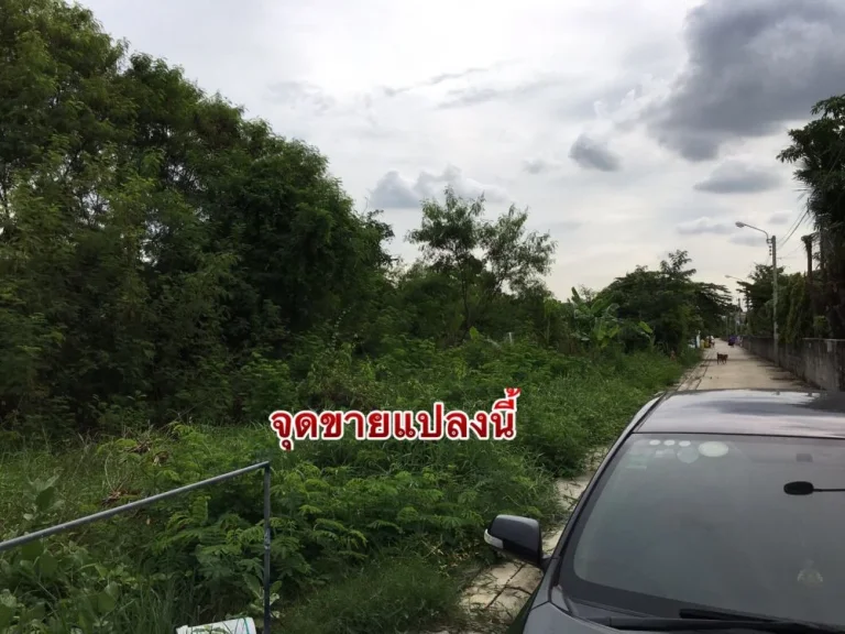 ขายที่ดิน 200 ตรว ซอยสุขาภิบาล5แยก61 ถมแล้ว