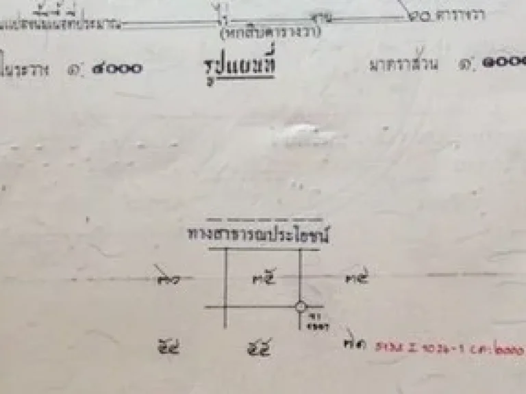 ขายที่ดินเปล่า ในโครงการหมู่บ้านพัทยาแลนด์แอนด์เฮ้าส์ ซอยสุขุมวิทพัทยา53 ถนนสุขุมวิทพัทยา ตำบลหนองปรือ อำเภอบางละมุง