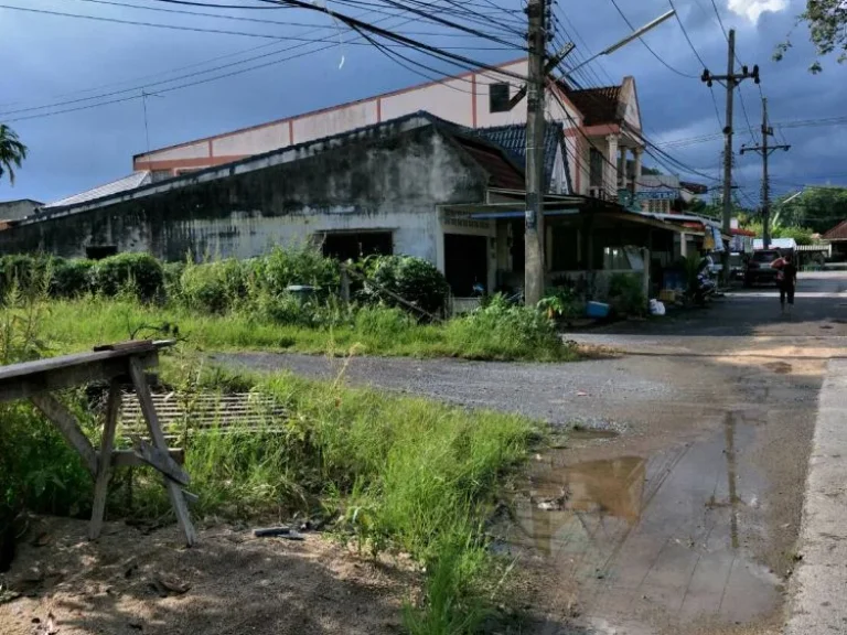 ขายที่ดิน 2ห้อง ใกล้โรงเรียนชุมชนบ้านไทรห้อง หมู1 ตควนกรด อทุ่งสง จนครศรีธรรมราช