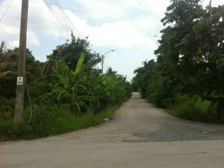 ขายที่ดิน หนองจอก 2 แปลงติดกัน อหนองจอก กรุงเทพ ฯ