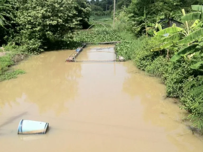 ขายที่ดิน หนองจอก 2 แปลงติดกัน อหนองจอก กรุงเทพ ฯ