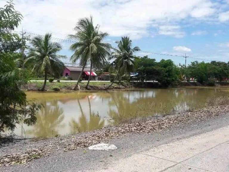 ขายที่ดินเปล่าถนนหนองเสือ-ธัญญะ กม7 90 ไร่ ราคาถูกมาก