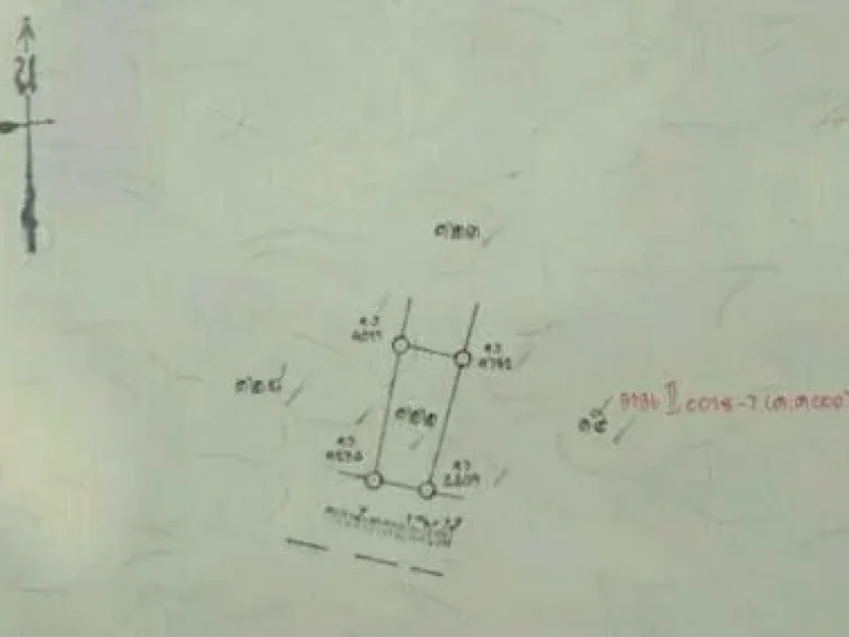 ขายที่ดินเปล่าขนาด 786 ตารางวา หรือขนาด 1ไร่ 3งาน 86ตารางวา หน้ากว้างประมาณ 40เมตร ลึกประมาณ 80เมตร