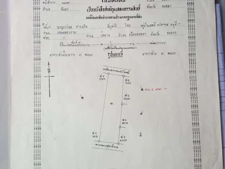 ที่ดินคลองแงะ เจ้าของขายเอง ขายที่ดิน 1 ไร่ 12 ตารางวา โฉนดพร้อมโอน