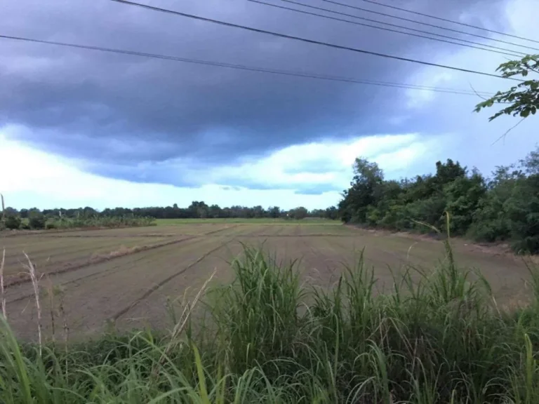 ขายที่ดิน อำเภอเมือง จังหวัดสุโขทัย ทำเลดี ติดถนน ใกล้เเหล่งช็อปปิ้ง