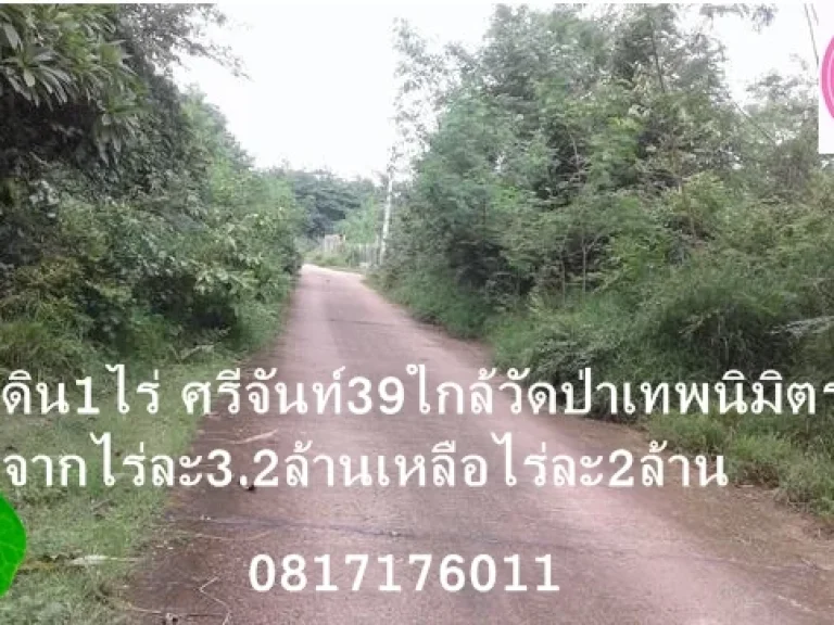 แหวนAssetampquotที่ดิน1ไร่ ซอยศรีจันทร์39 ใกล้วัดป่าเทพนิมิตร ถนน ไฟ พร้อม ขายด่วนจาก32 ล้าน เป็น2ล้านถ้วน