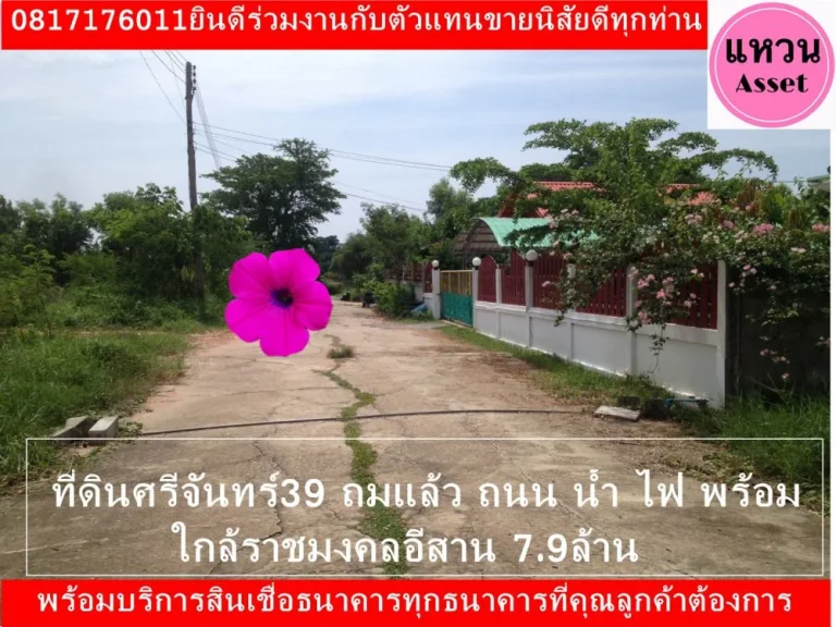 แหวนAssetampquot ที่ดินถมแล้ว ซอยศรีจันทร์39 หมู่บ้านหนองไฮ ไม่ไกลจากมหาวิทยาลัยราชมงคลอีสาน 1งาน ราคา79 แสน