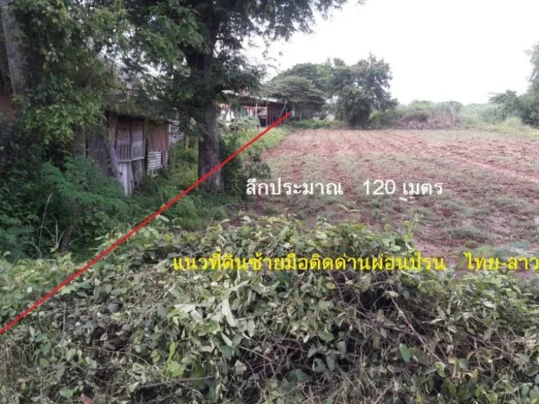 ขายที่ดินติดแม่น้ำโขง ติดจุดผ่อนปรน ไทย-ลาว ตบ้านหม้อ อศรีเชียงใหม่ จหนองคาย