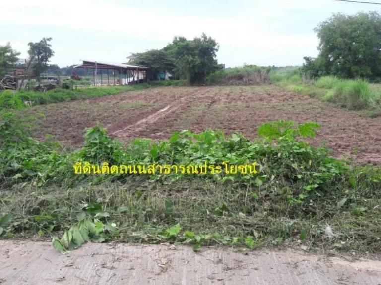 ขายที่ดินติดแม่น้ำโขง ติดจุดผ่อนปรน ไทย-ลาว ตบ้านหม้อ อศรีเชียงใหม่ จหนองคาย