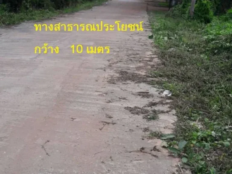 ขายที่ดินติดแม่น้ำโขง ติดจุดผ่อนปรน ไทย-ลาว ตบ้านหม้อ อศรีเชียงใหม่ จหนองคาย