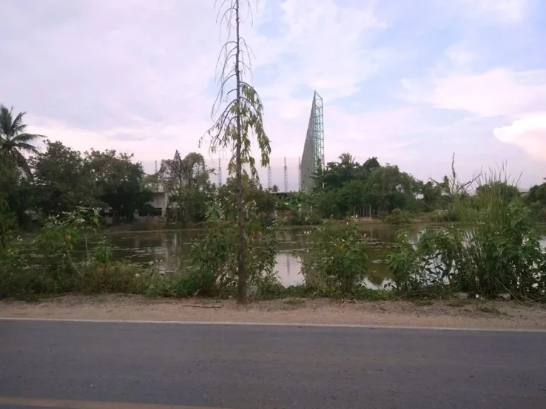 ขายที่ดิน ติดถนนบางเชือกหนัง - ถนนพุทธมณฑล สาย 1