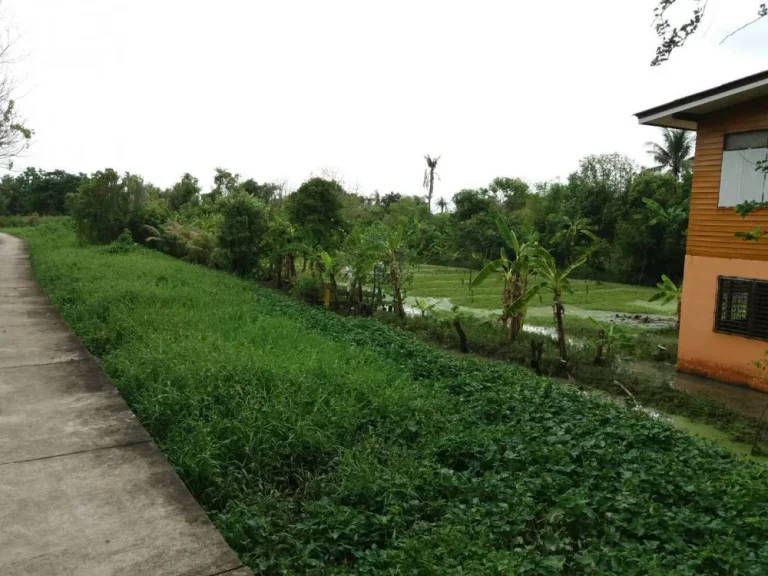 ขาย ที่ดิน ติดแม่น้ำเจ้าพระยา ตำบล บางพูด อำเภอ ปากเกร็ด จังหวัด นนทบุรี