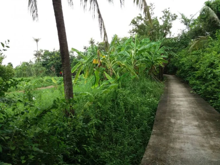 ขาย ที่ดิน ติดแม่น้ำเจ้าพระยา ตำบล บางพูด อำเภอ ปากเกร็ด จังหวัด นนทบุรี