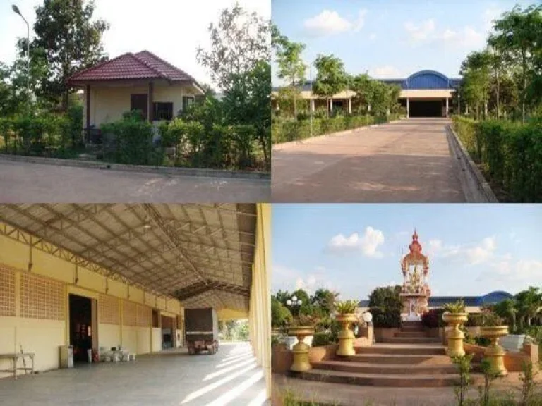 โกดัง โรงงานให้เช่าอยู่อำเภอ กบินทร์บุรี จังหวัดปราจีนบุรี เนื้อที่ 32ไร่