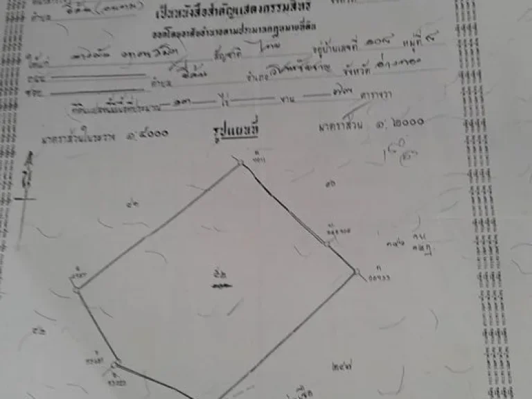 ที่ดินทำเลสวยๆ เนื้อที่ 13 ไร่ ติดถนนสี่เลน3195 ตยี่ล้น อวิเศษชัยชาญ จอ่างทอง