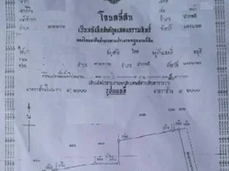 ขายที่ดิน 11ไร่ 3 งาน ที่ดินสวยติดคลองส่งน้ำ อปากพลี จนครนายก ขาย 3ล้านบาท