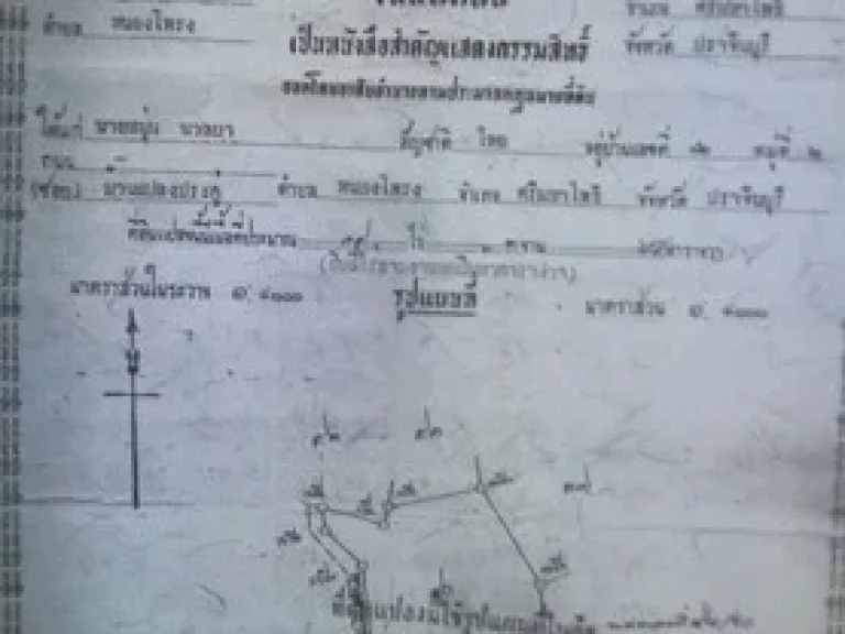 ขายที่ดินเขตชุมชน พื้นที่อยู่ระหว่างนิคมโรจนะปราจีนบุรี และนิคม 304