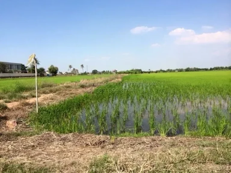 ที่ดิน ลาดหลุมแก้ว 18 ไร่ วัดบ่อเงิน ดาวเทียมไทยคม สร้างโรงงาน อุตสาหกรรม งราคาประเมิน