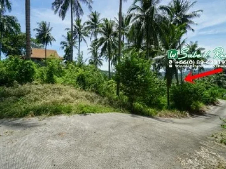 Land Sea View for Rent Koh Samui located south west of the island 2 rai in Taling Ngam Koh Samui