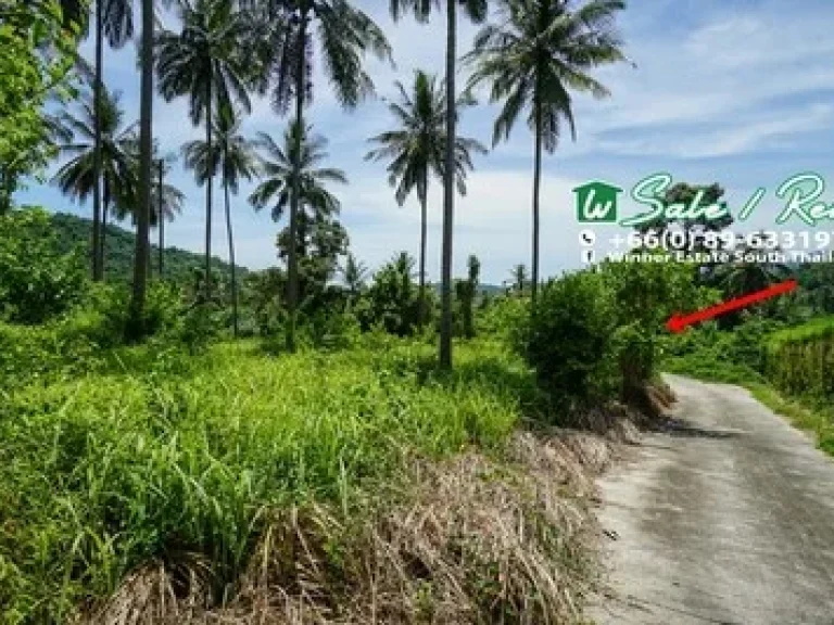 Land Sea View for Rent Koh Samui located south west of the island 2 rai in Taling Ngam Koh Samui