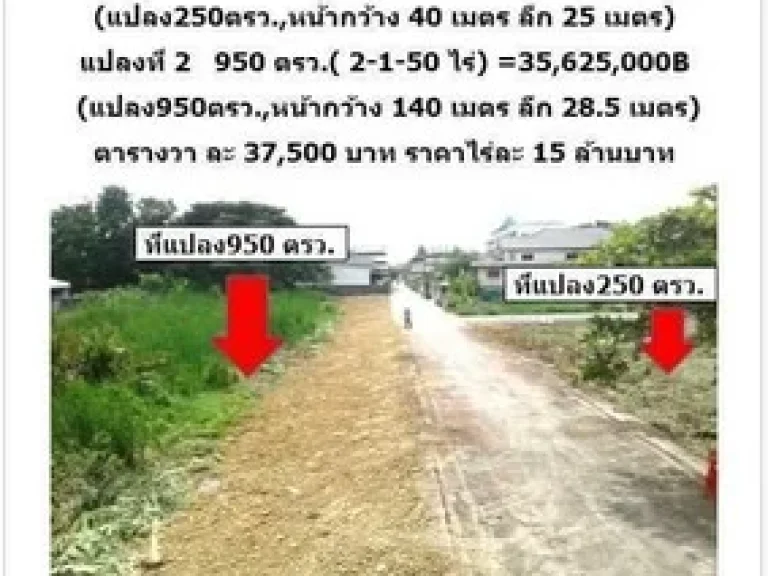 ขายที่ดิน พุทธมณฑลสาย 3 ข้างโรงเรียนสารสาสน์ธนบุรี ด่วนถูกมาก