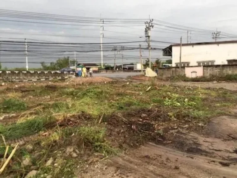 ขายที่ดินเปล่า ถนนเทพรักษ์ ระหว่างซอยบางปลา41กับ43 บางพลี สมุทรปราการ