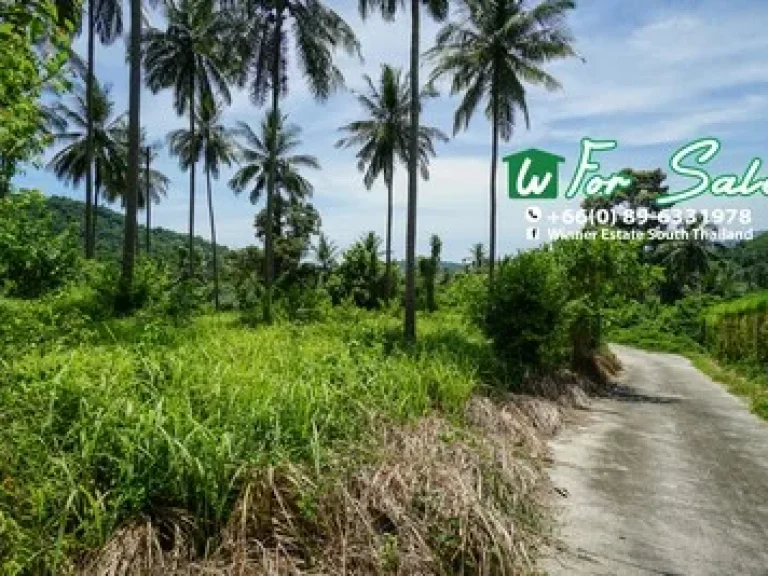 SEA VIEW Koh Samui Land for Sale 2 RAI in TALING NGAM KOH SAMUI SEA VIEW SALE