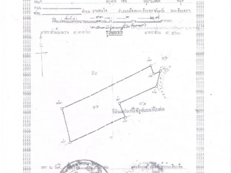 ที่ดินพื้นที่สีม่วง ตวังตะเคียน อเมือง จฉะเชิงเทรา