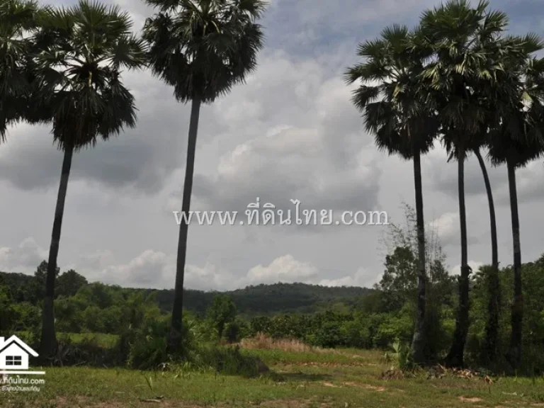 ที่ดินปราจีนบุรี 9 ไร่ 1 งาน 33 ตรว โฉนด ตคำโตนด อประจันตคาม จปราจีนบุรีรหัส 3567