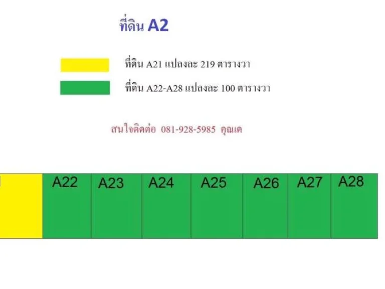 ขายที่ดินเขตเทศบาล หนองเสือ ปทุมธานี ถนนคอนกรีตกว้าง 10 เมตร