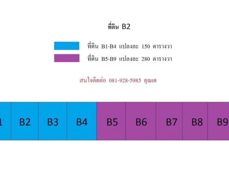 ขายที่ดินเขตเทศบาล หนองเสือ ปทุมธานี ถนนคอนกรีตกว้าง 10 เมตร