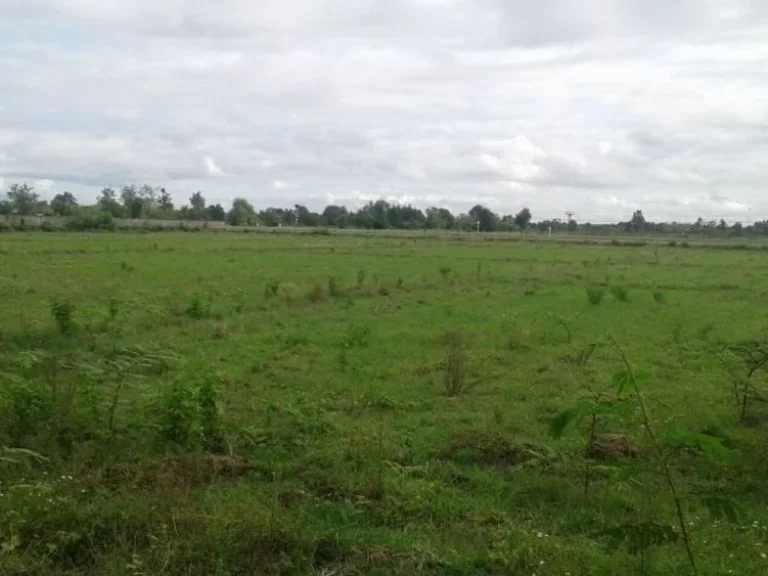 ขายที่ดินทำเลสวยติดถนนเลียบทางรถไฟลำพูน