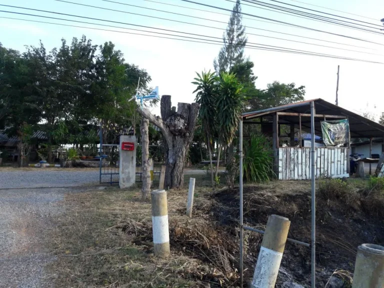 ขายด่วน ที่ดินพร้อมบ้านใกล้โรงงานไฟฟ้าชัยภูมิ สาขา 2 เยื้องรีสอร์ทโคโคนัท ติดถนน 4 เลน ถนนชัยภูมิ-ขอนแก่น หมูบ้านนางเม้ง ตโพนทอง อเมือง จชัยภูมิ