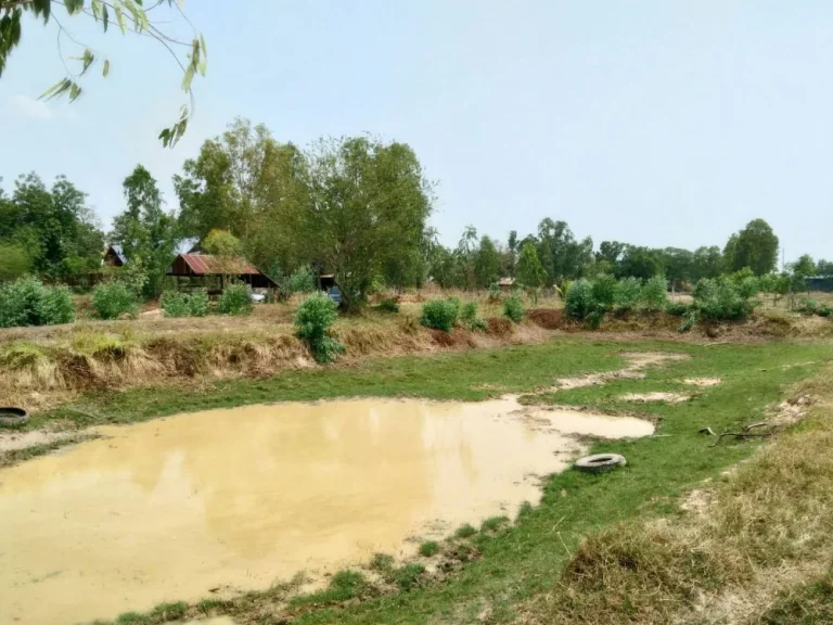 ที่ดิน บ้านหนองหลุบ 300 เมตร จากถนนขอนแก่น-ชุมแพมะลิวัลย์